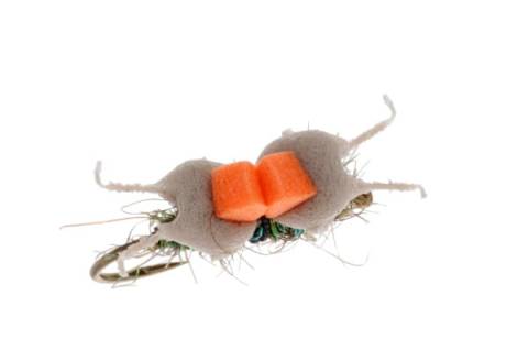 Hi Viz Ceylon Foam Ant